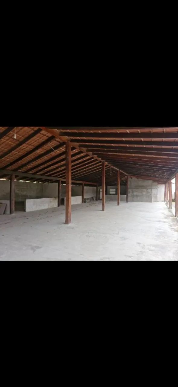 Alugo barracão,casa e terreno ,escritório  - Foto 4