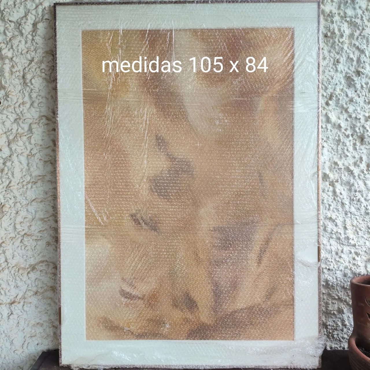 Quadros  - Foto 2