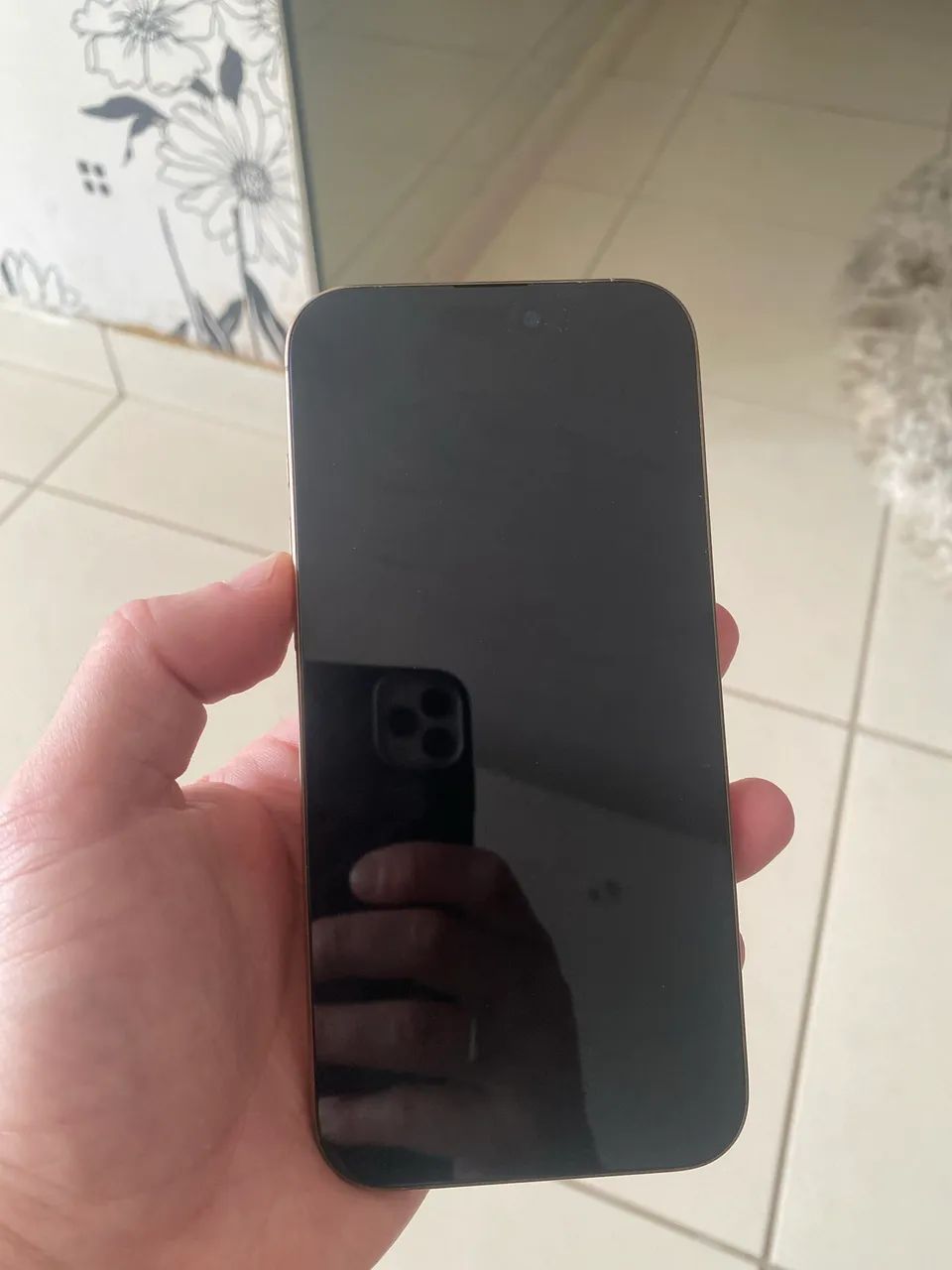 iPhone 16 pro max placa queimada 