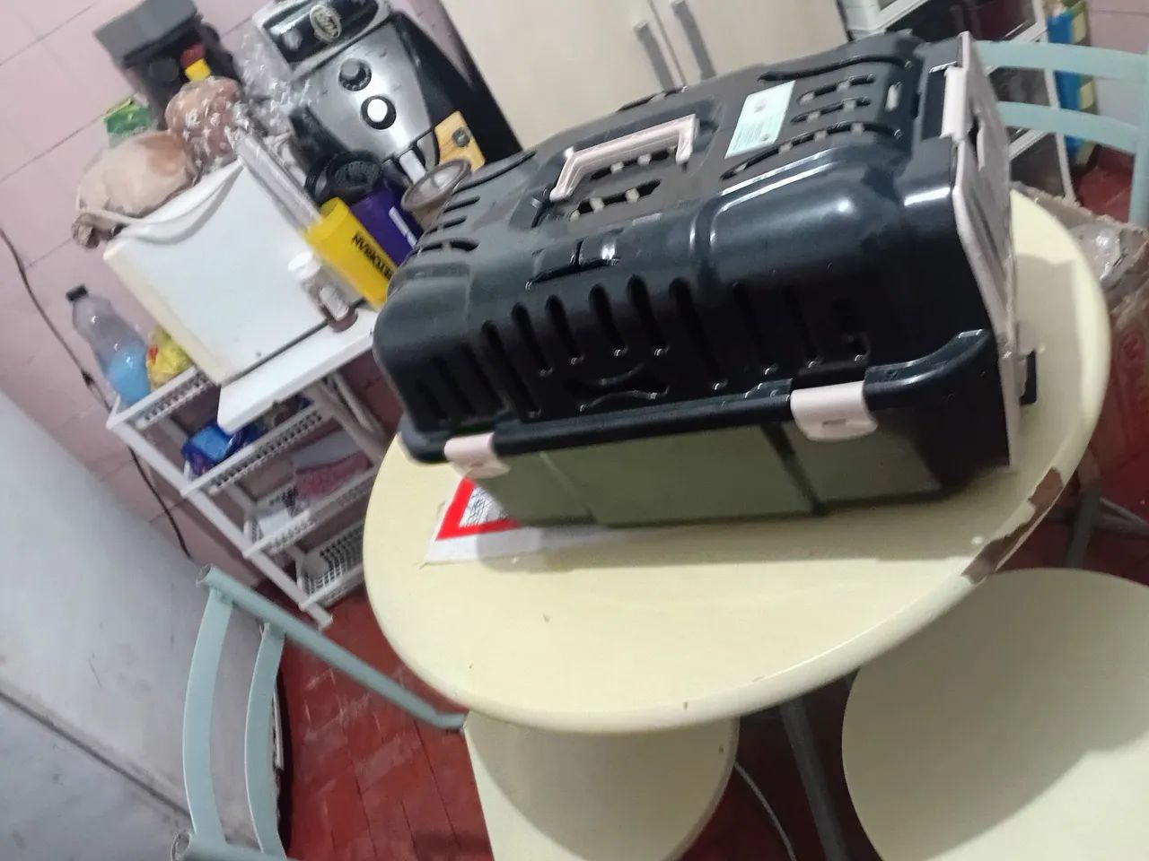 Transporte pet  - Foto 2