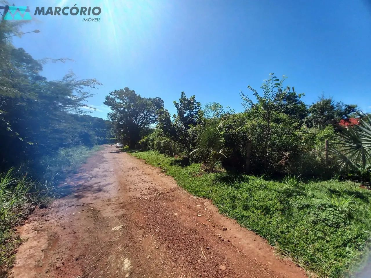 Chácara à venda, Condomínio das Palmeiras, Bela Vista de Goiás, GO - Foto 7