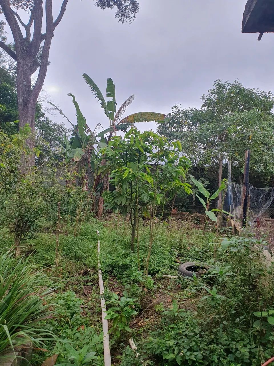 Chacara no Jaceguava - SP - Foto 4