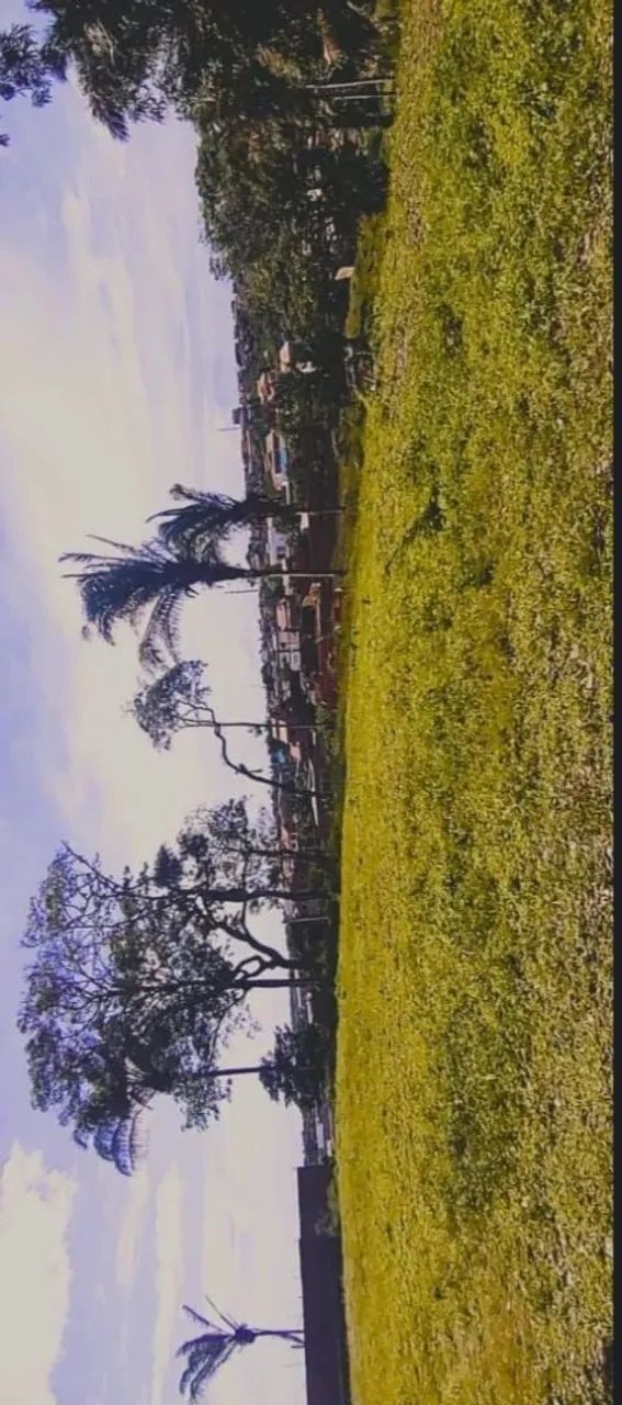Terreno no Aquiles  - Foto 4