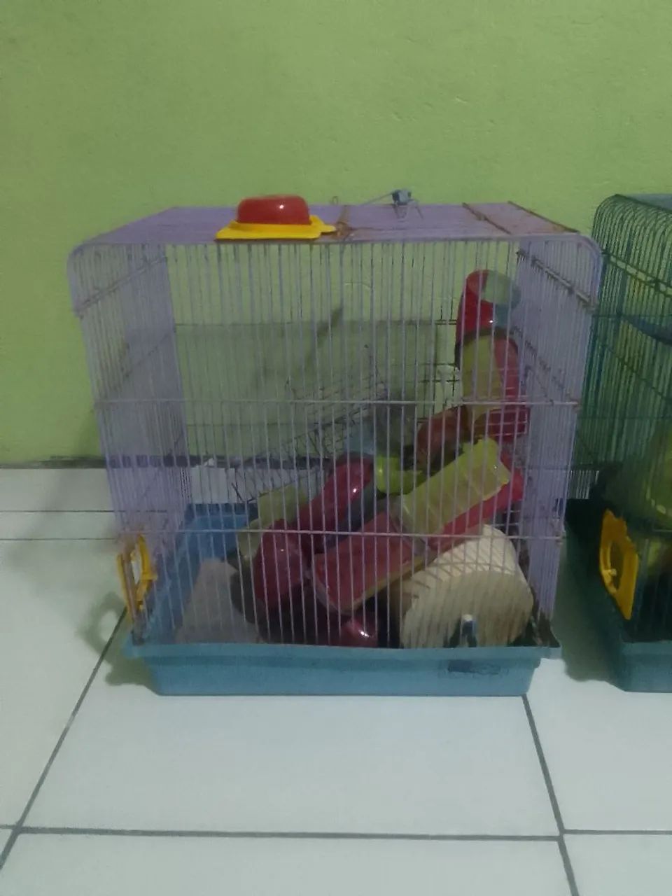 Duas Gaiola para roedores pequenos - Foto 2