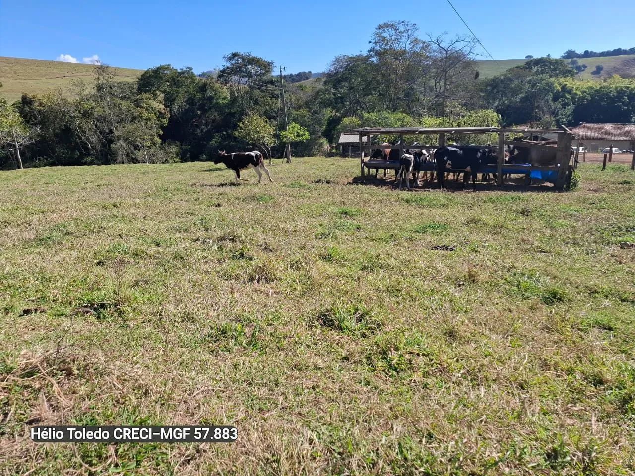 Sítio 19 Hectares Brazópolis-Mg <br> - Foto 3