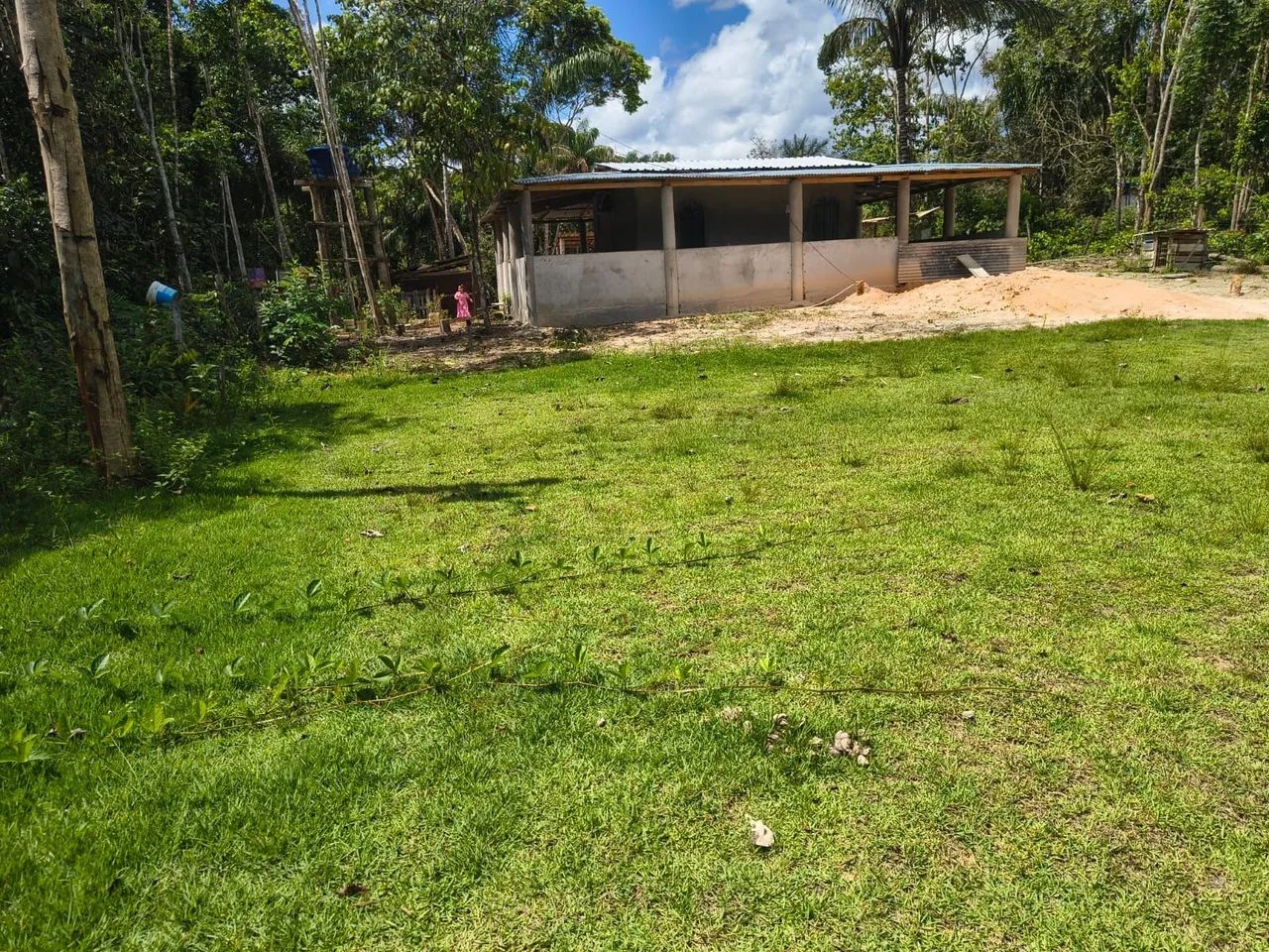 Sítio com uma casa - Foto 4
