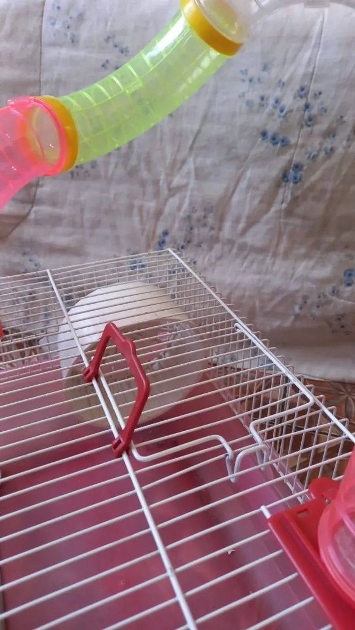 Gaiola Hamster   - Foto 3