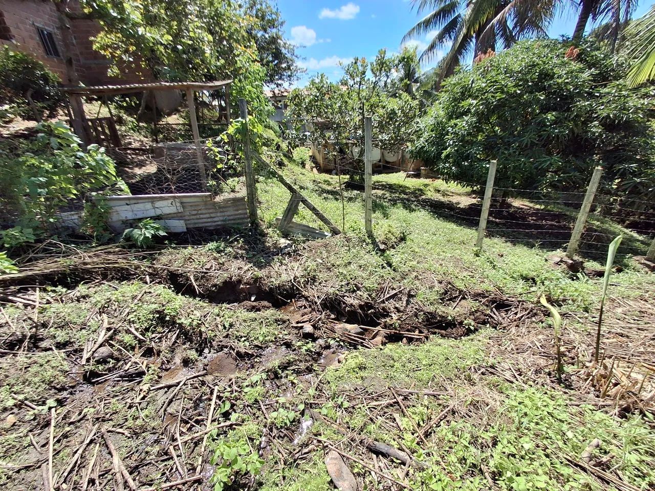Terreno 30x15 em Tiuma - Foto 5