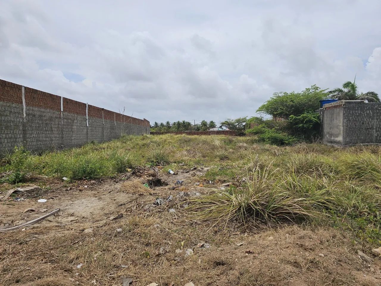Terreno Padrão em Exremoz - Foto 5