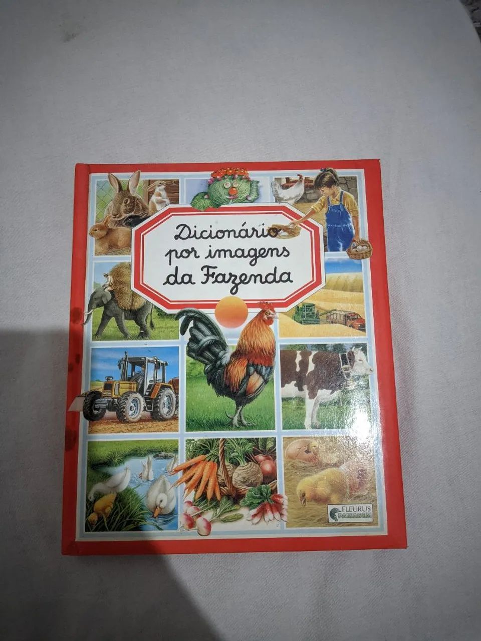 Dicionário por imagens da Fazenda 131p