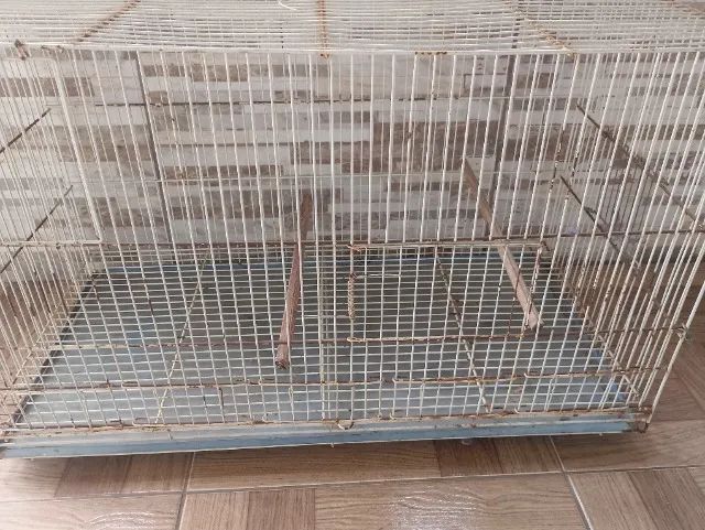 Gaiola para calopsita  - Foto 6