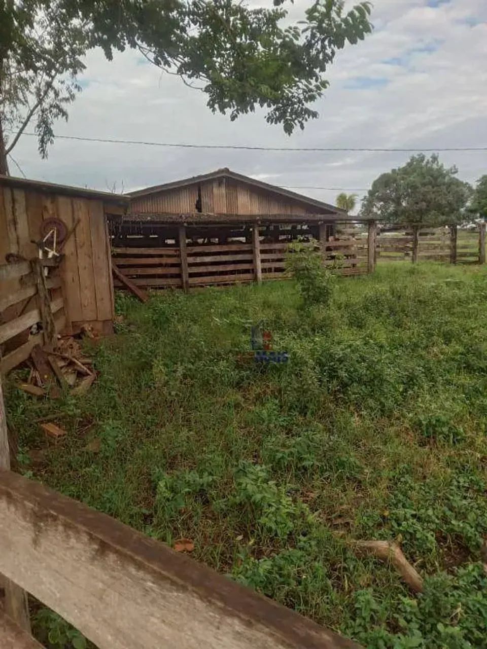 Sítio com 1 dormitório à venda, 363000 m² - Sumaúma - Urupá/RO - Foto 2