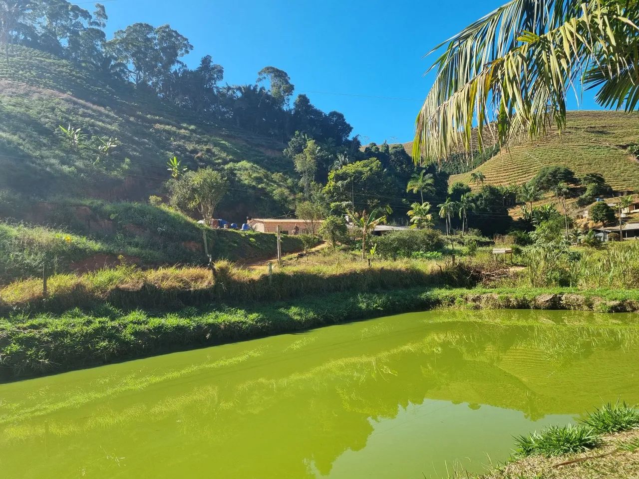 Terreno de aproximadamente meio alqueire - Foto 2