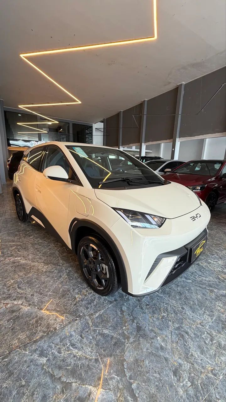 BYD Dolphin Mini (Elétrico) 2027 - Foto 2