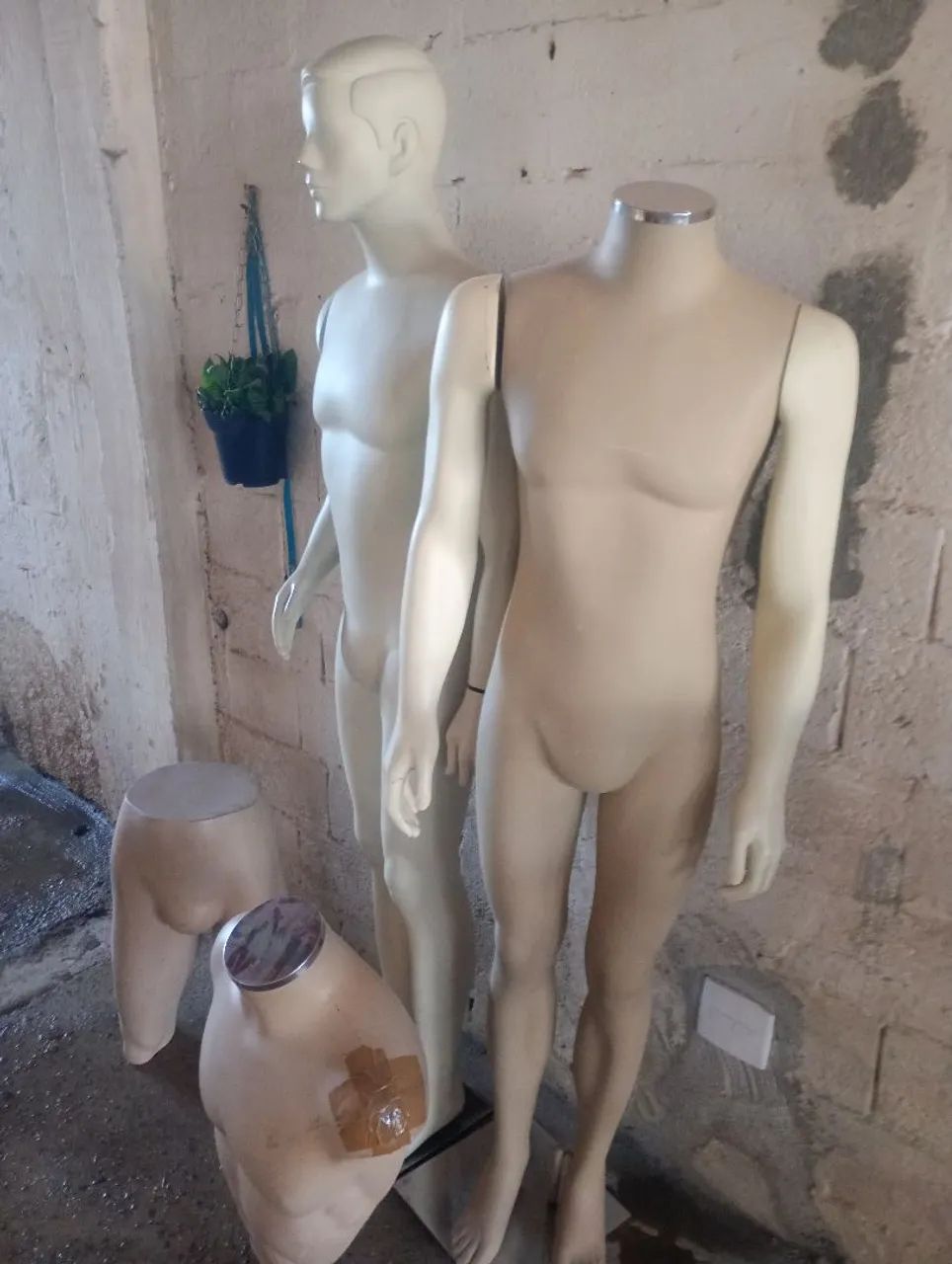 Maniquins masculino  - Foto 2