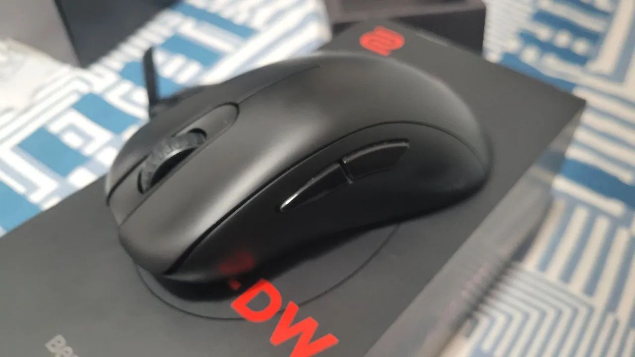 Mouse Zowie EC1-DW