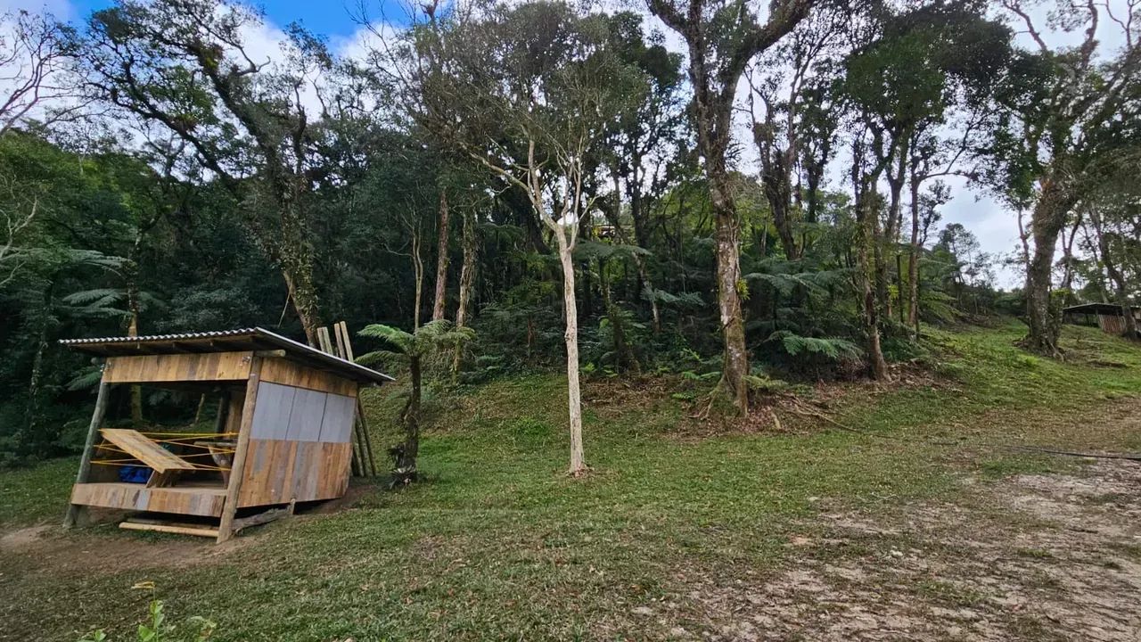 Sitio em São Bonifácio - SC - Foto 4