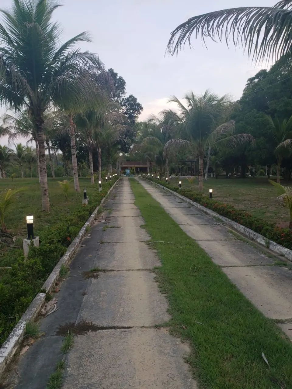 BR 174 km 17 chacara no ramal do cafe da Lene 3km no asfalto r$ 800mil - Foto 3