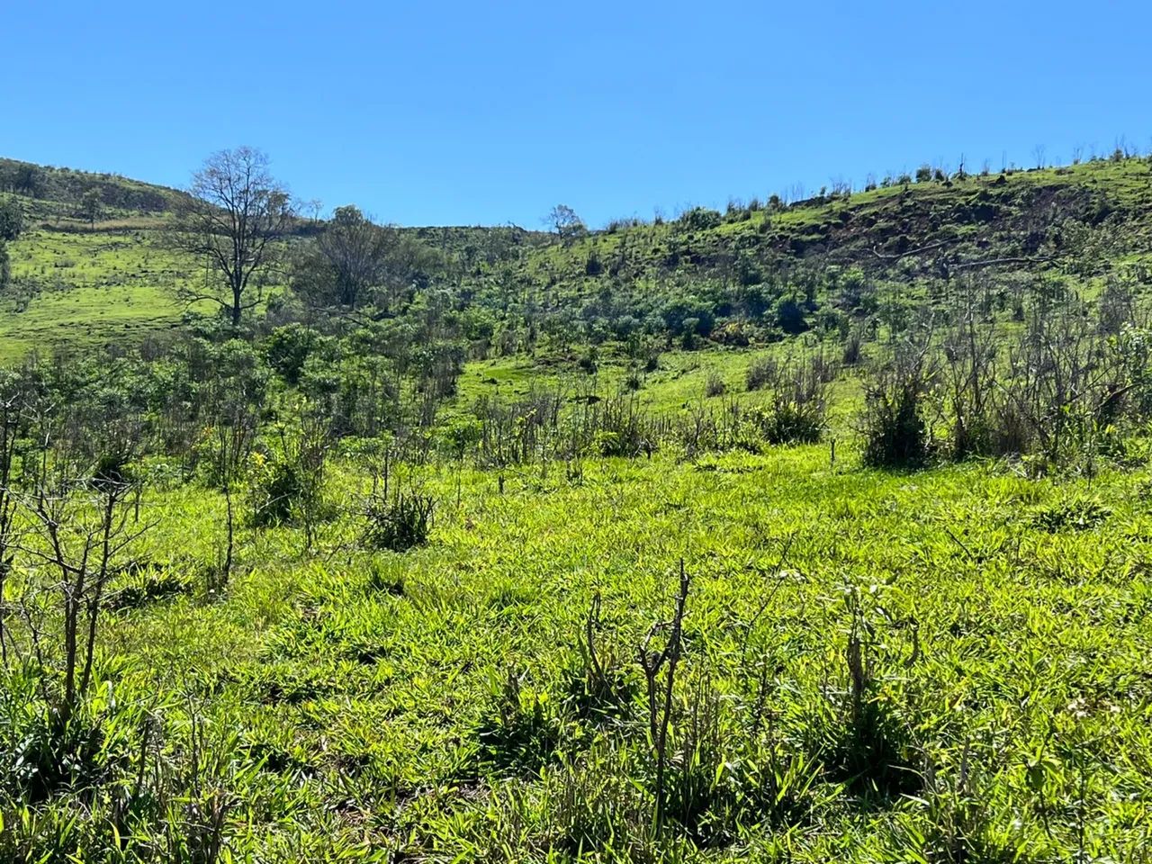 Sítio de 25 alqueires (oportunidade) - Foto 2
