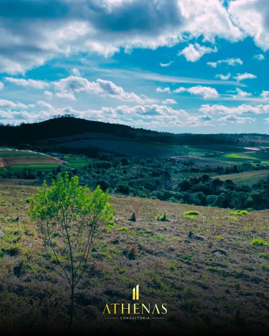Poucos Lotes: Caucaia do Alto - Foto 4