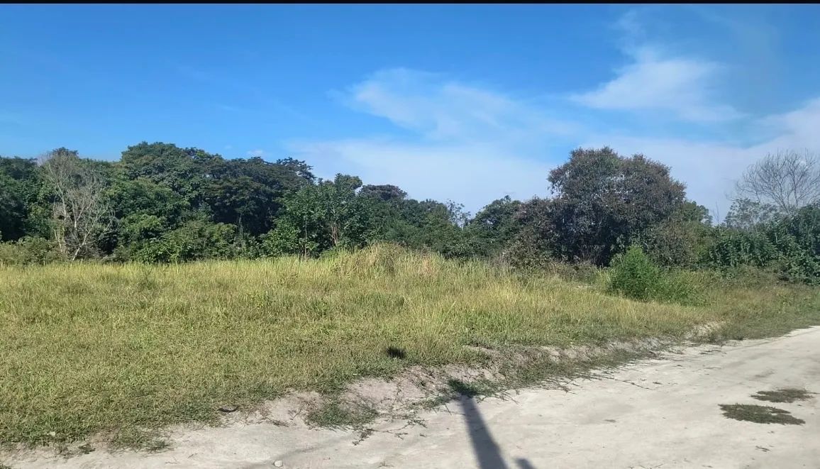 Terreno em cachoeira de macacu  - Foto 3