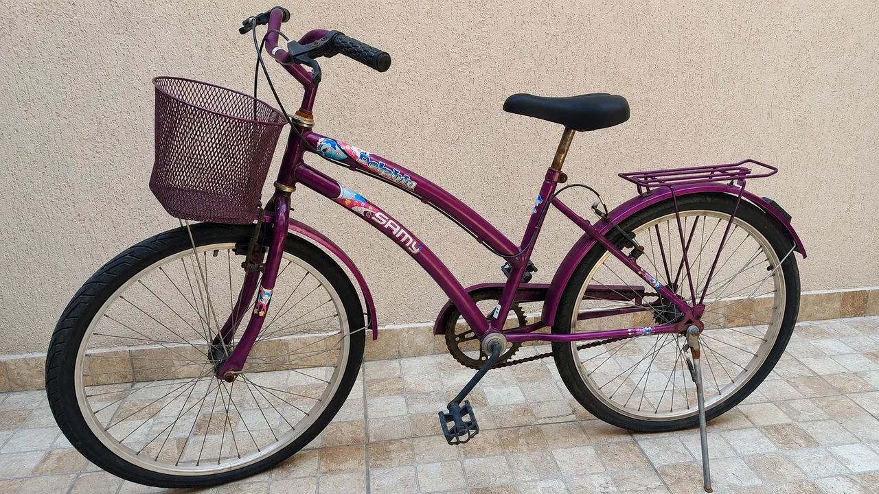 Bicicleta aro 24