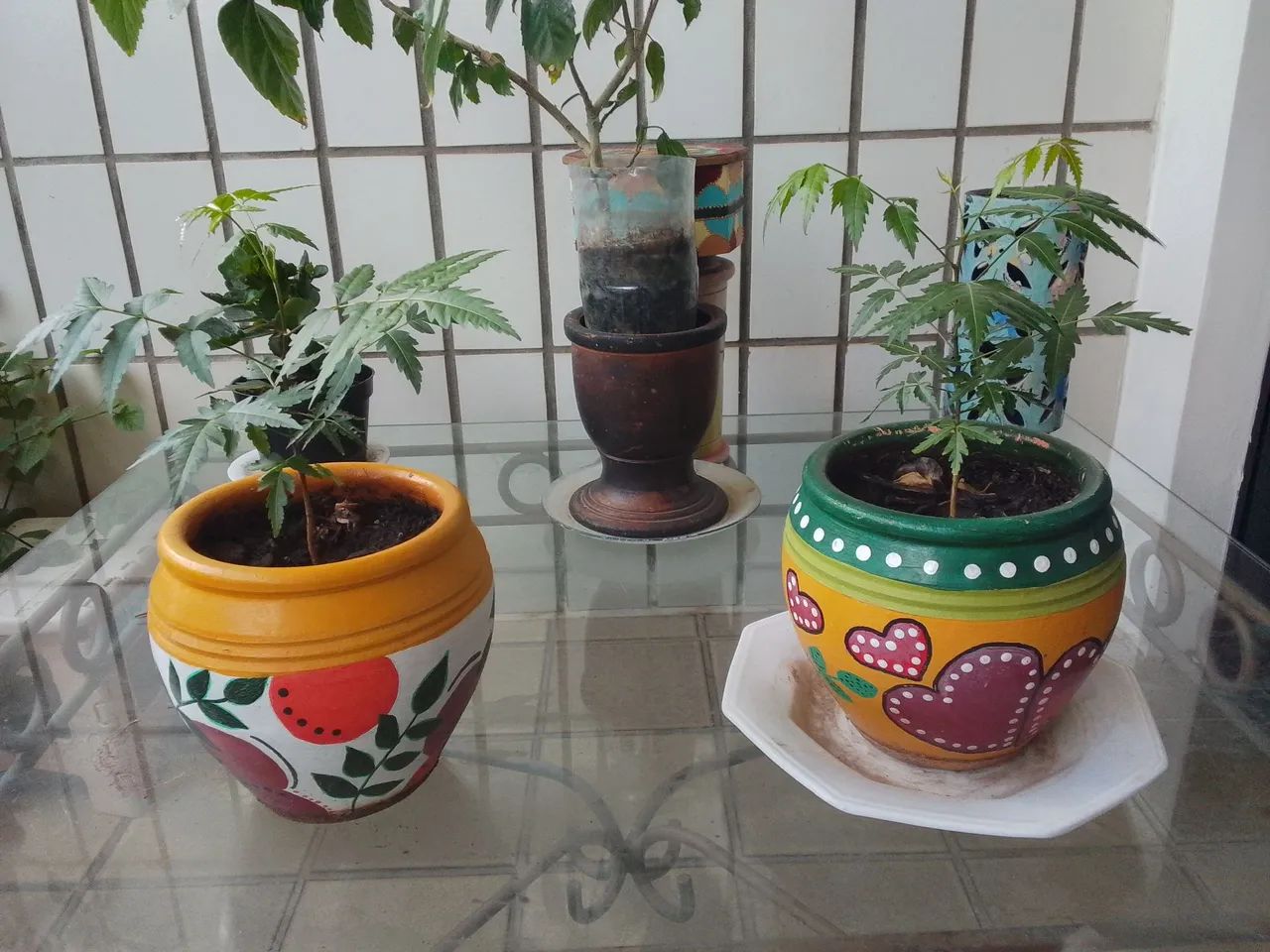 Sítio vendo alugo  - Foto 3