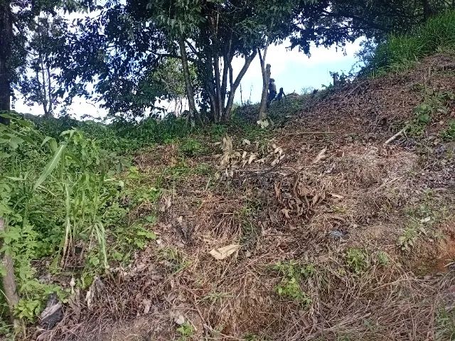 Terreno bom e próximo ao Novo Atacarejo Curado  - Foto 2