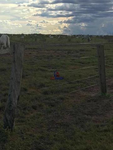 Fazenda a venda no estado do mato grosso - Foto 10