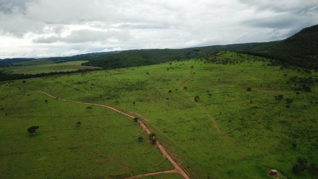 240 Alq. 160 km de Goiânia. (Gado e Soja)