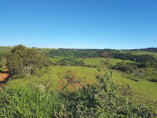 Fazenda de 100 ha em Sacramento/MG - Foto 8