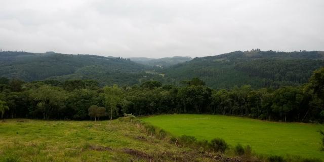 Chácara 7,5 Ha Vila Oliva - Foto 3