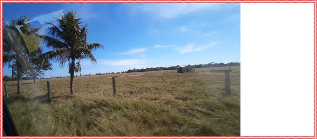 Fazenda Pecuária 1350 alqueires, fazendão - Foto 6