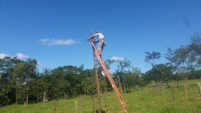 Chácaras em Leopoldo de Bulhoes 2.000 m2 - Foto 3