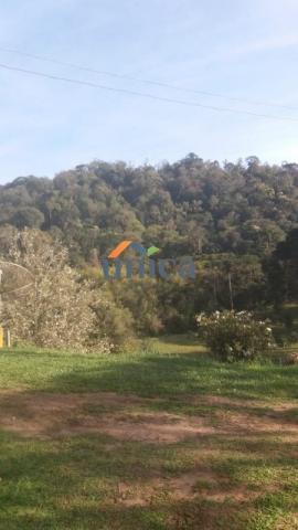 Campo alegre, campinas - Foto 4