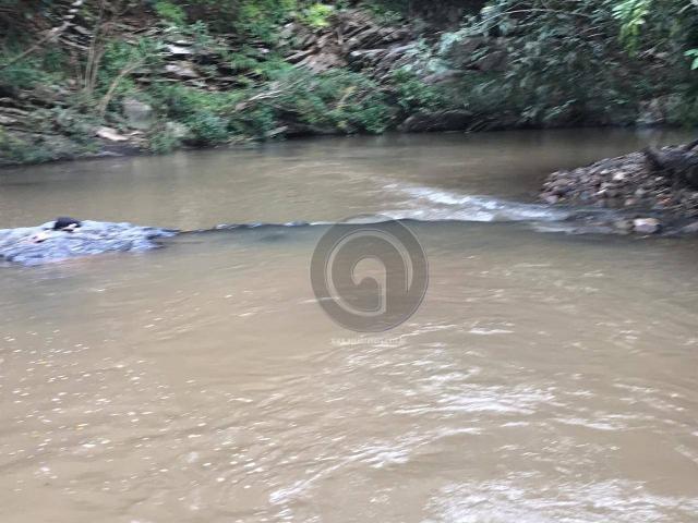 Sítio 11,8 ha na região distrito da guia - Foto 16