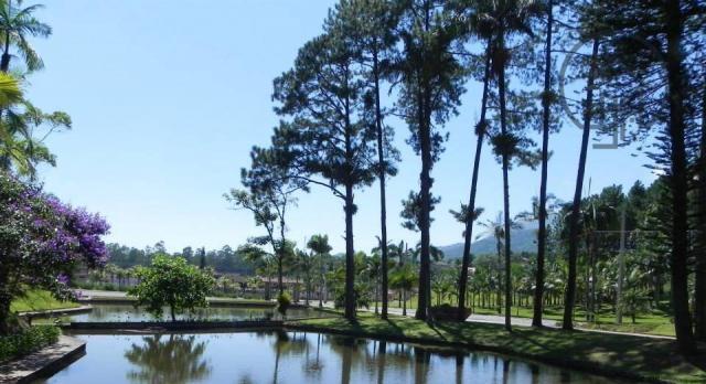 Terreno à venda, 900 m² por R$ 720.000,00 - Jaraguá Esquerdo - Jaraguá do Sul/SC - Foto 12