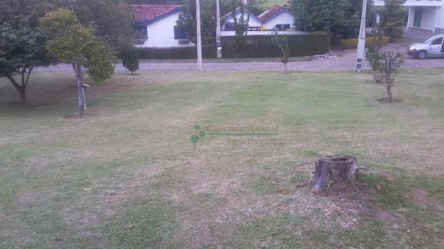 Terreno residencial à venda, Vargem Grande, Teresópolis. - Foto 3