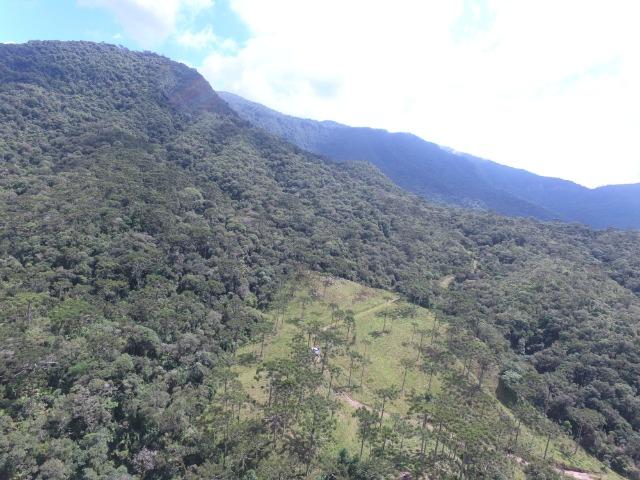 Sitio em Urubici /chácara em Urubici /área rural em Urubici - Foto 15