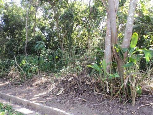 Terreno residencial à venda, Venda Nova, Teresópolis. - Foto 2