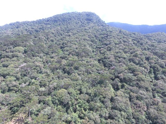 Sitio em Urubici /chácara em Urubici /área rural em Urubici - Foto 3