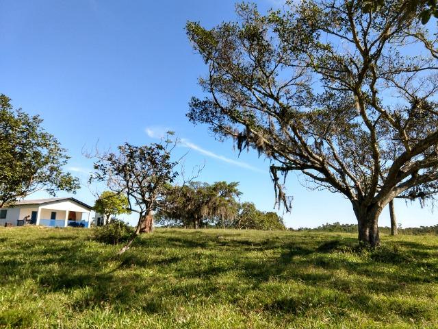 Sítio 16,6 Hectares - Barro Vermelho - Gravataí - RS - Foto 6