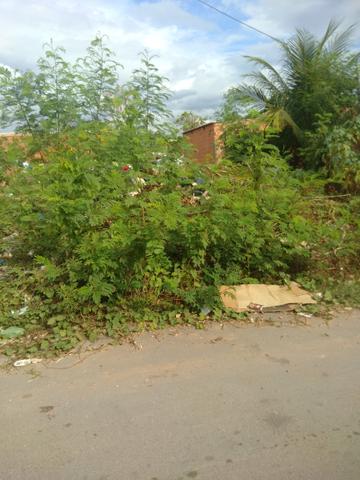 Terreno bairro Dr Fábio 1 - Foto 3