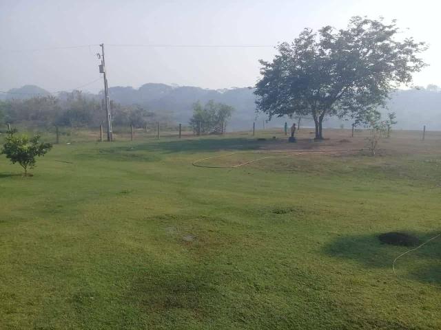 Citio em Barão de Melgaço na beira do rio cuiaba - Foto 5