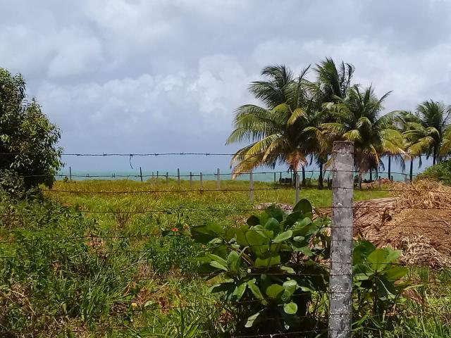 Terreno a BEIRA MAR em Japaratinga
