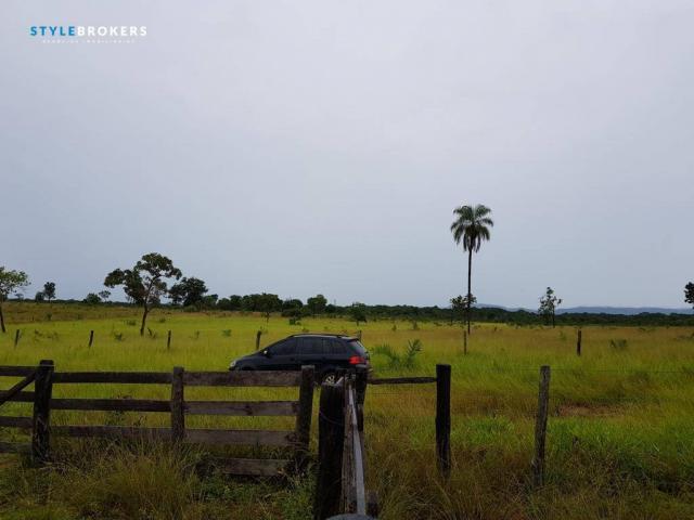 Fazenda em Porto Esperidião - Foto 6