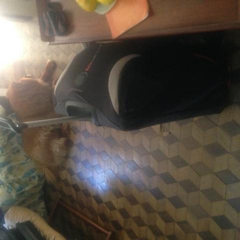 Mochila - Foto 5