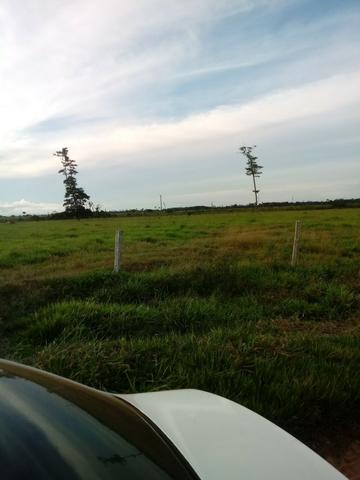 Fazenda 15000 hectares em vila bela, ha 60 km ponte e Lacerda - Foto 6