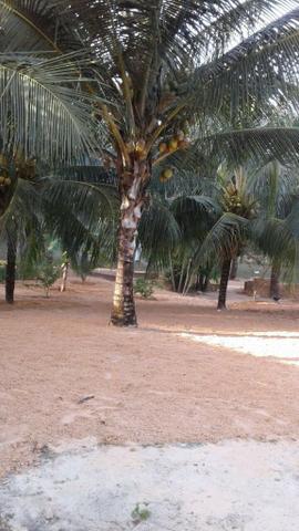 Lindo sitio pertinho da general Arthur carvalho e praia do Araçagi!! - Foto 19