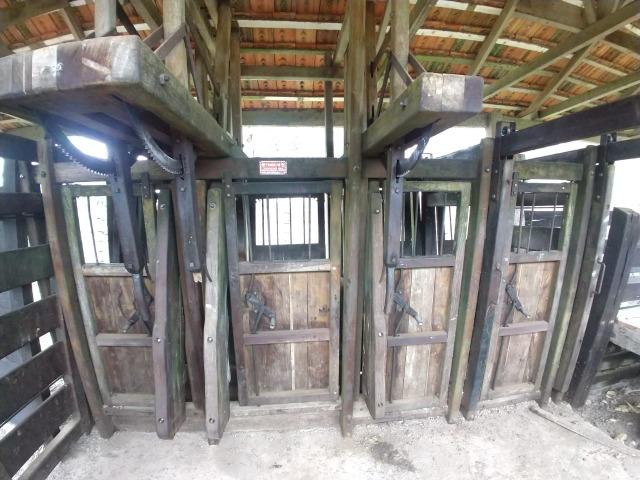 Fazenda em Campo Largo Bairro São Silvestre - Foto 17
